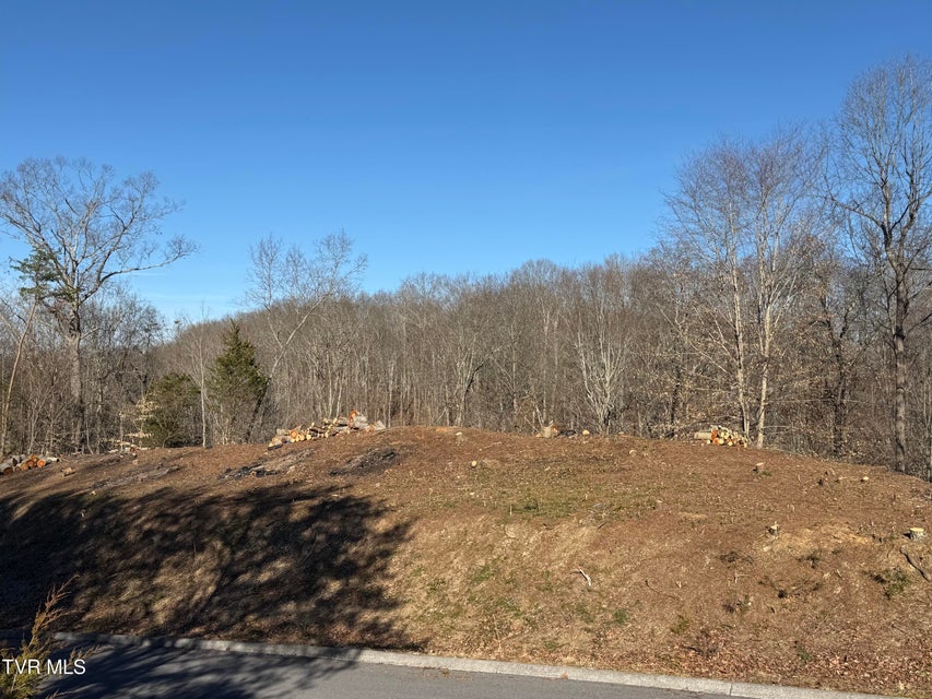 Photo #28: 101 Pointe Drive