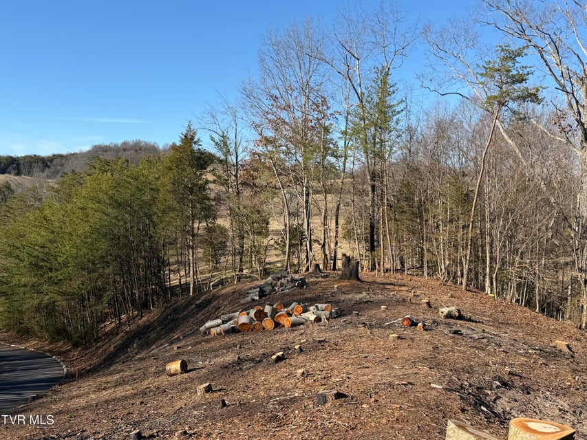 Photo #29: 101 Pointe Drive