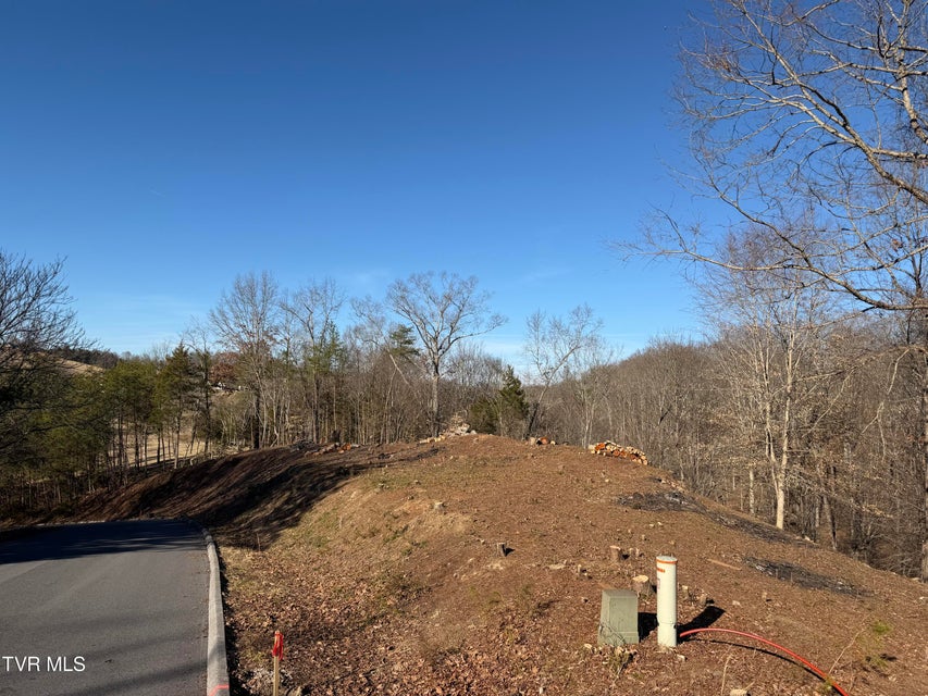 Photo #33: 101 Pointe Drive