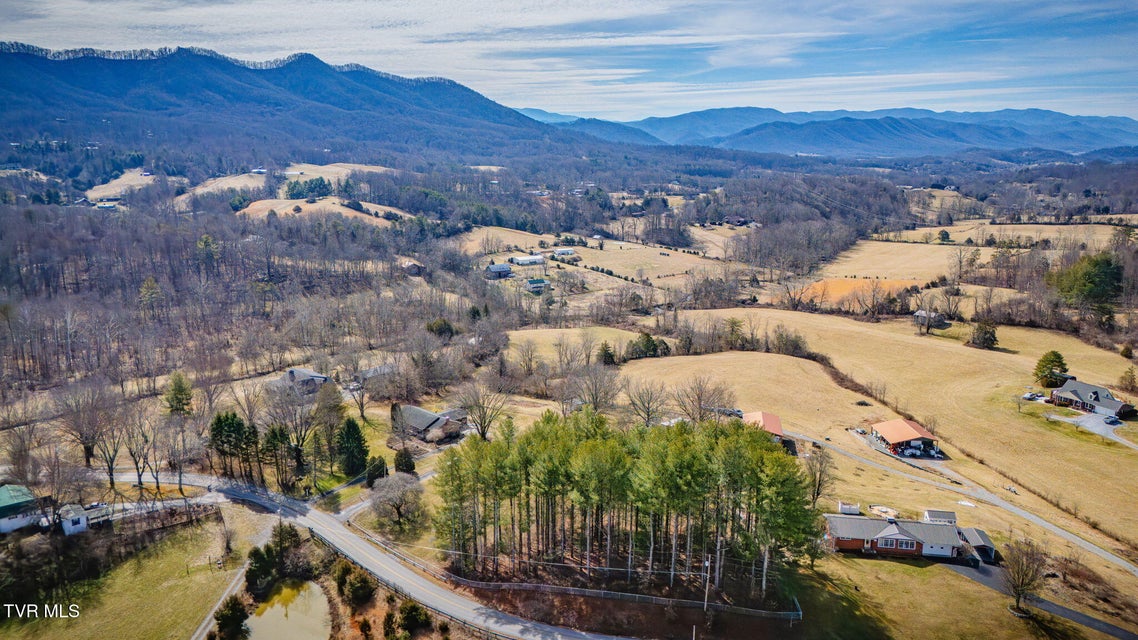 Photo #8: 163 Cecil Gray Road