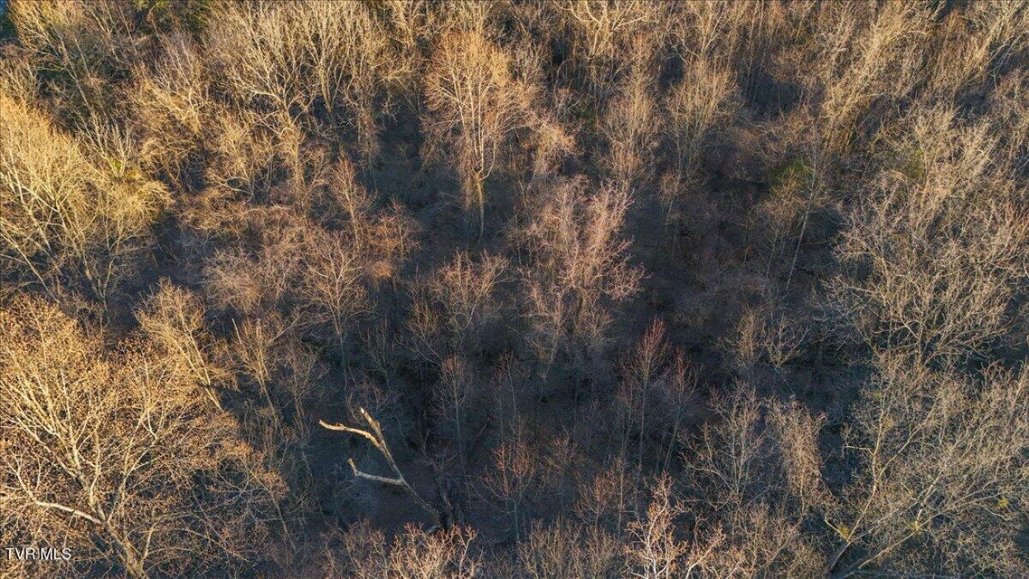 Photo #10: Tbd Mary Patton Highway