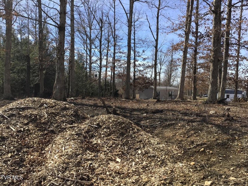 Photo #12: 430 Laws Road