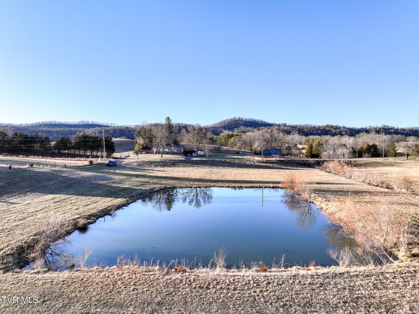 Photo #6: Tract 0 Gap Creek Road