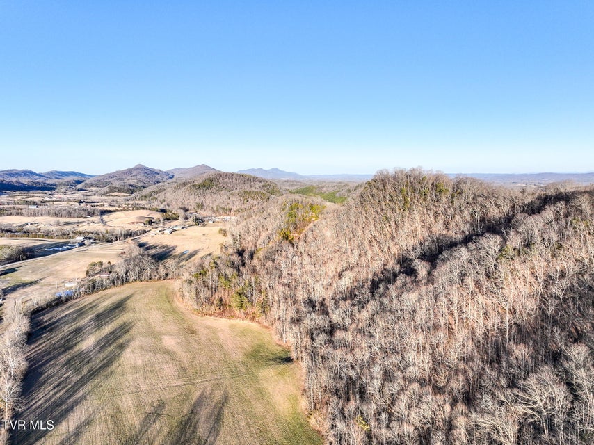 Photo #17: Tract 0 Gap Creek Road