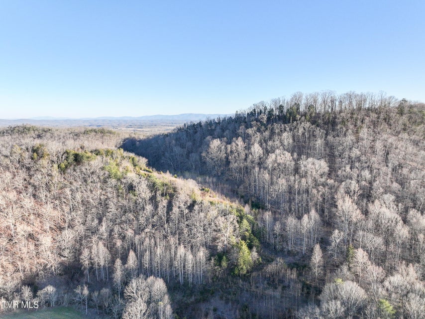 Photo #19: Tract 0 Gap Creek Road