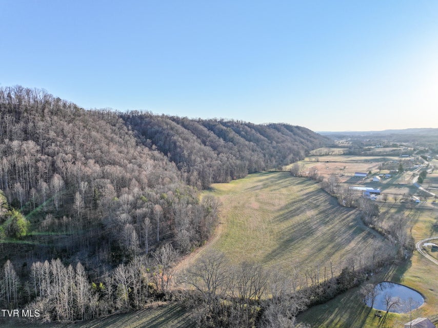 Photo #15: Tract 0 Gap Creek Road