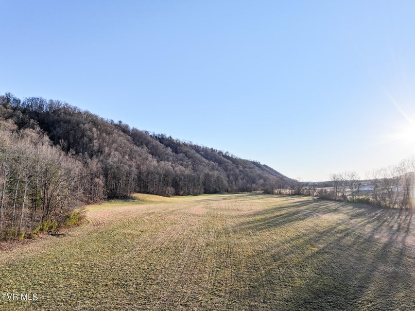 Photo #5: Tract 0 Gap Creek Road