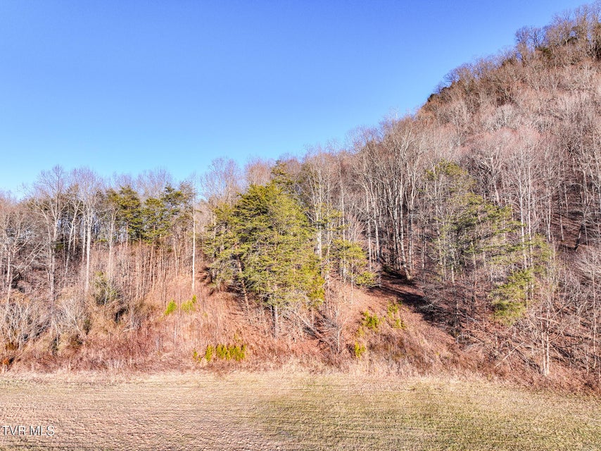 Photo #21: Tract 0 Gap Creek Road