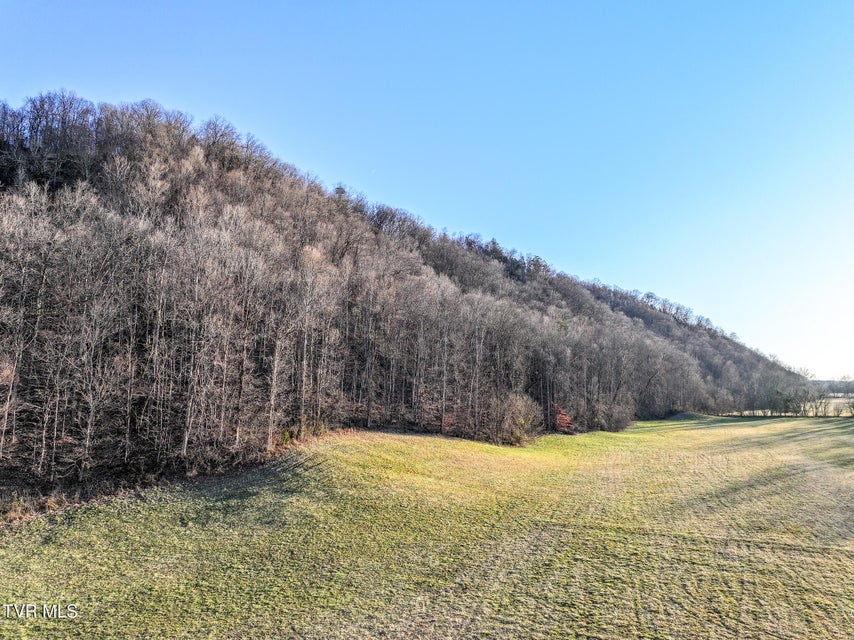 Photo #18: Tract 0 Gap Creek Road