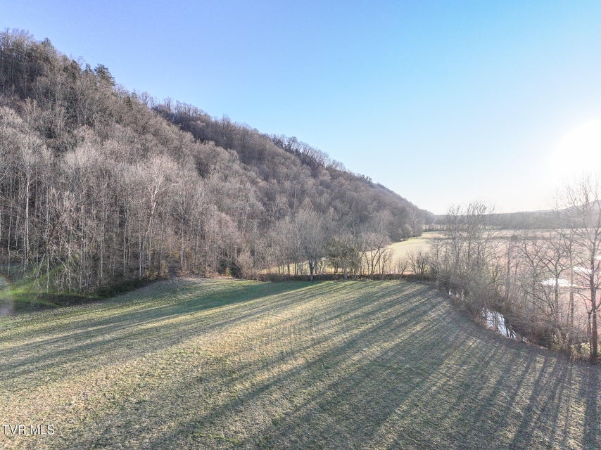 Photo #16: Tract 0 Gap Creek Road