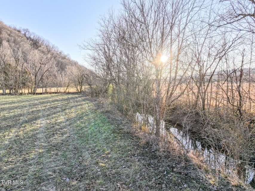 Photo #22: Tract 0 Gap Creek Road