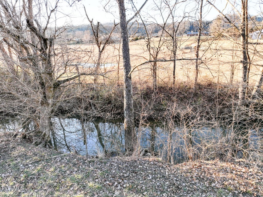 Photo #23: Tract 0 Gap Creek Road