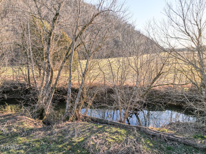 Photo #24: Tract 0 Gap Creek Road