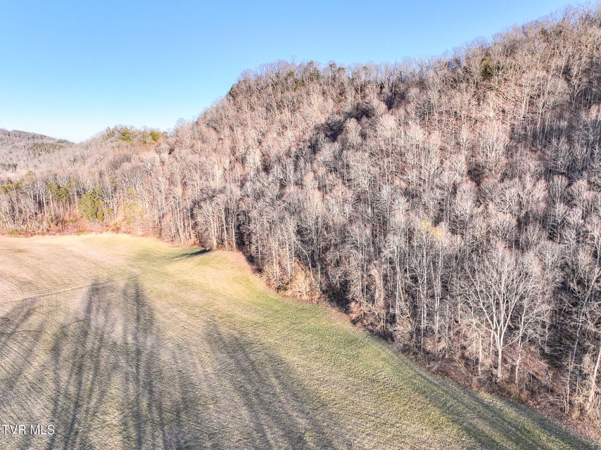 Photo #14: Tract 0 Gap Creek Road