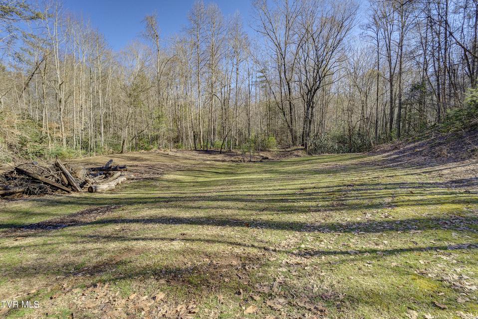 Photo #44: 124 Ogle Road