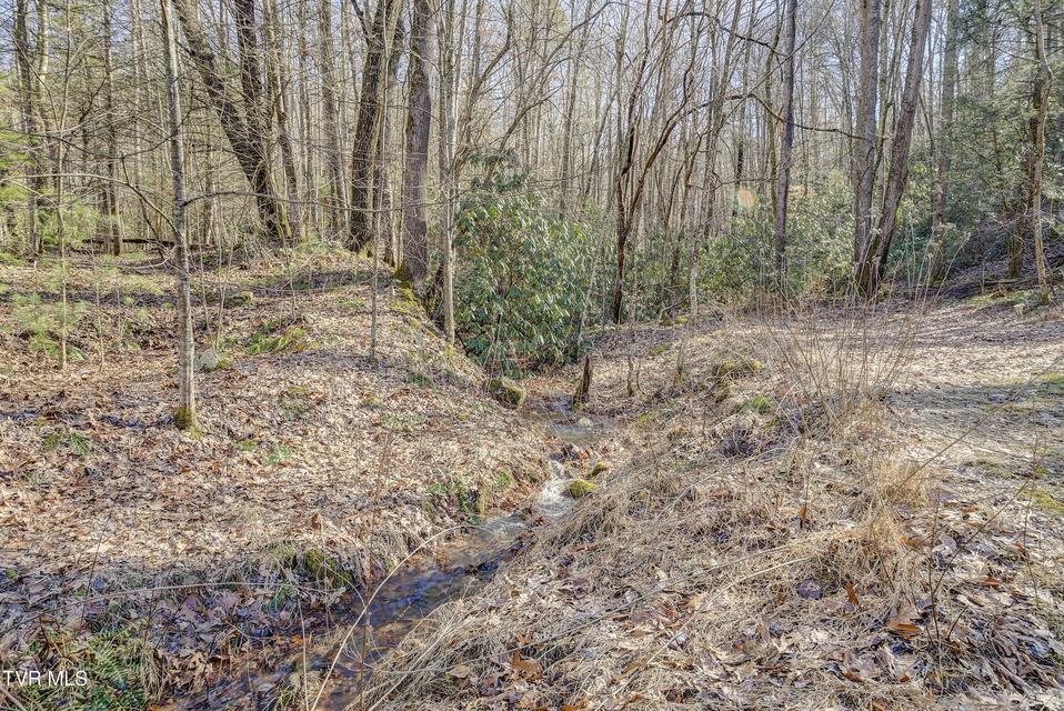 Photo #46: 124 Ogle Road