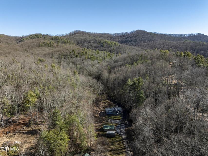 Photo #41: 124 Ogle Road