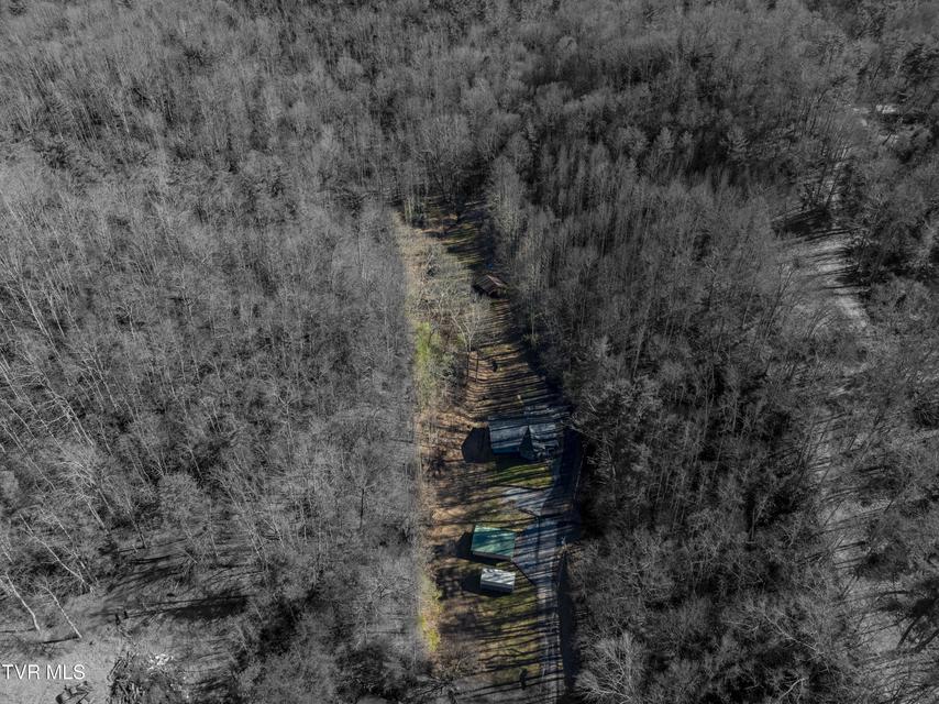 Photo #42: 124 Ogle Road