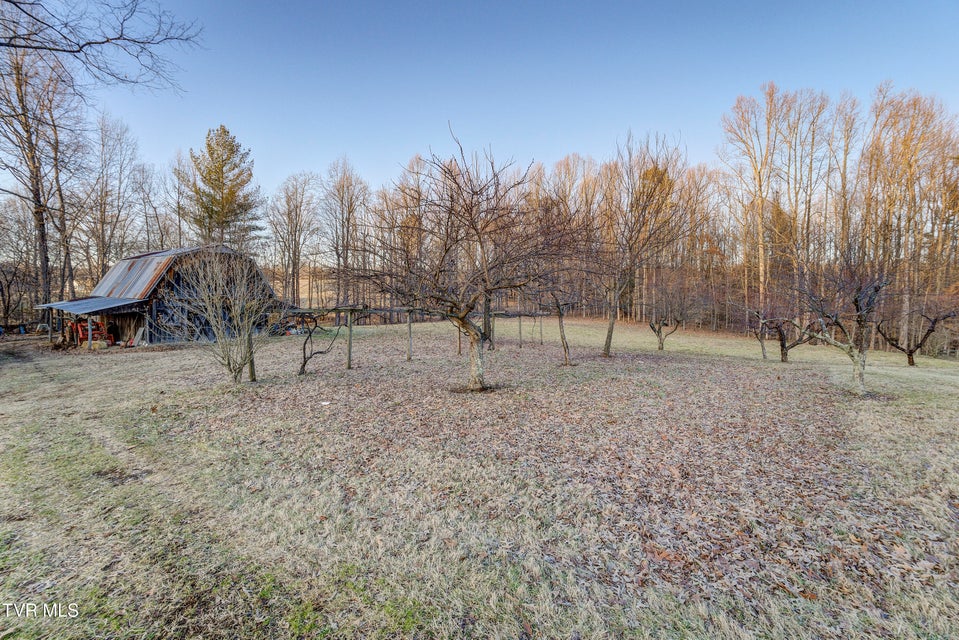 Photo #79: 150 Miller Crossing