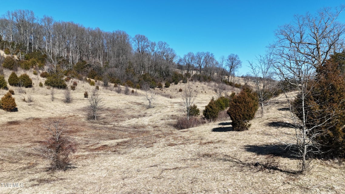 Photo #2: Tract 3 Methodist Ridge Road 