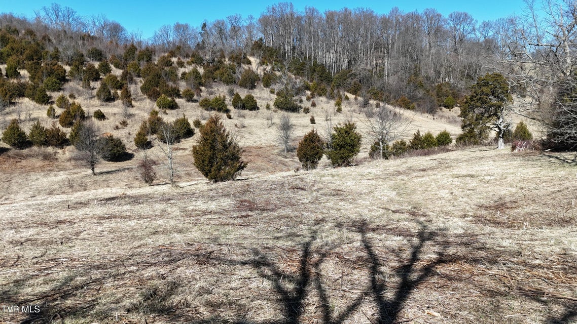 Photo #4: Tract 3 Methodist Ridge Road 