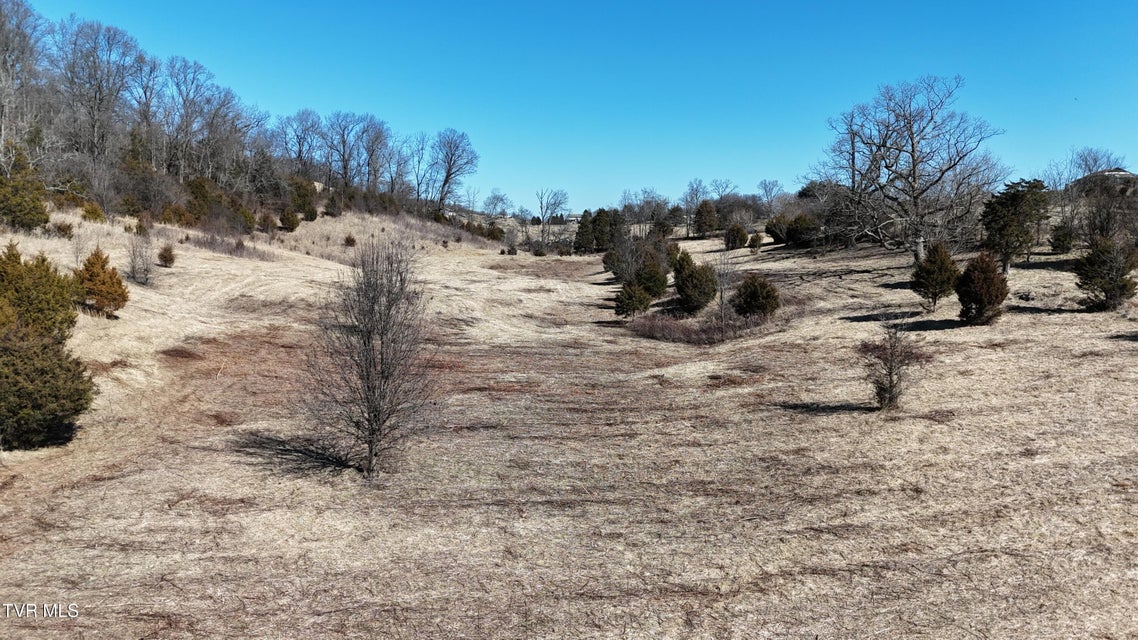 Photo #5: Tract 3 Methodist Ridge Road 