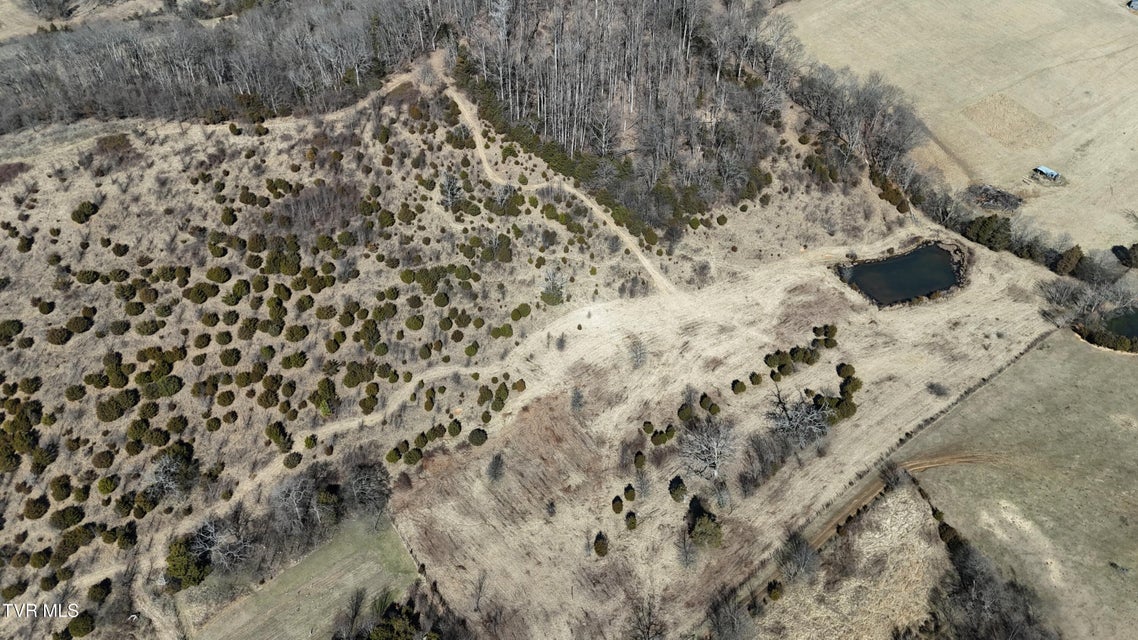 Photo #13: Tract 3 Methodist Ridge Road 