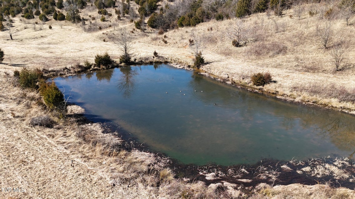 Photo #15: Tract 3 Methodist Ridge Road 