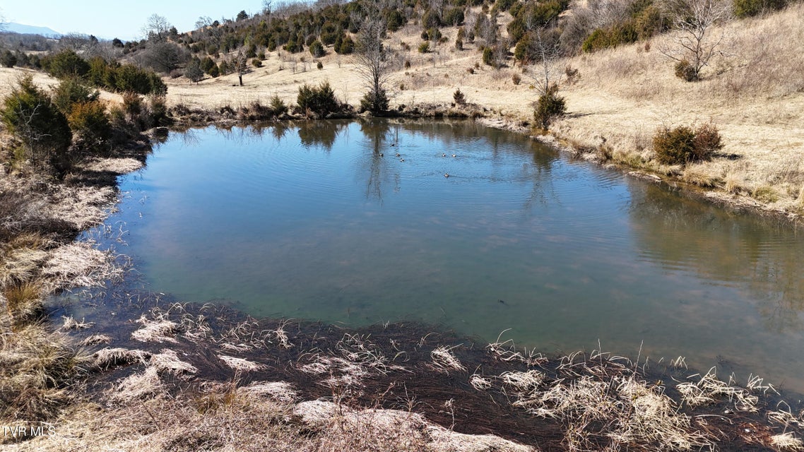 Photo #16: Tract 3 Methodist Ridge Road 