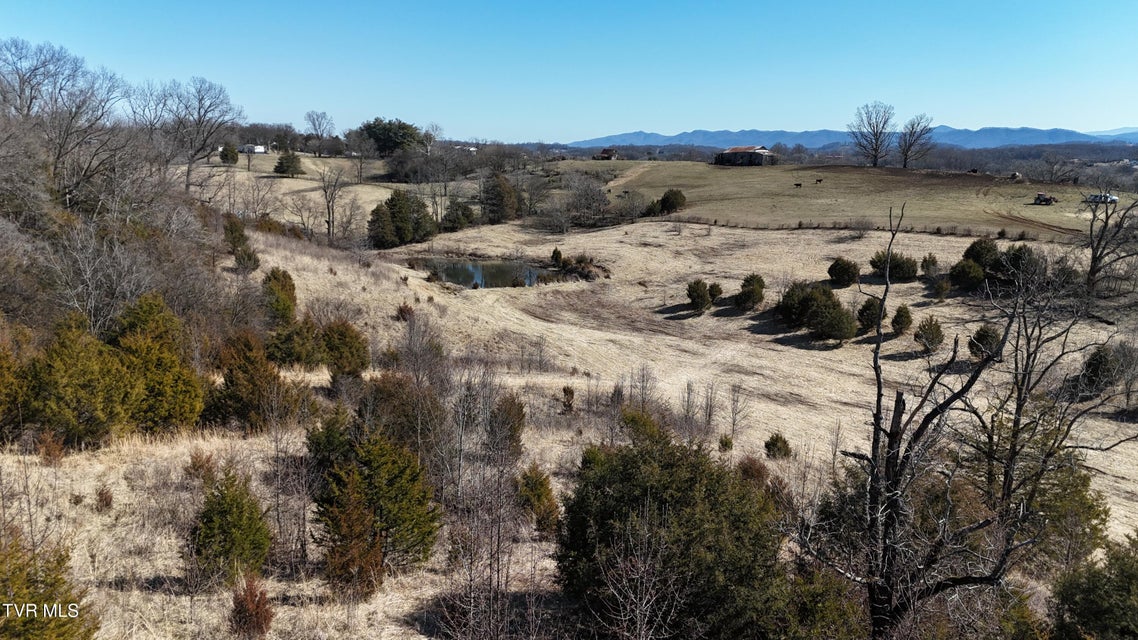 Photo #19: Tract 3 Methodist Ridge Road 