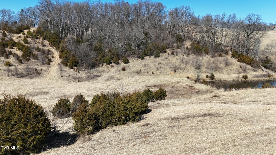 Photo #20: Tract 3 Methodist Ridge Road 