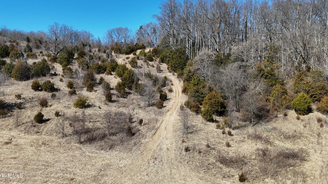 Photo #21: Tract 3 Methodist Ridge Road 