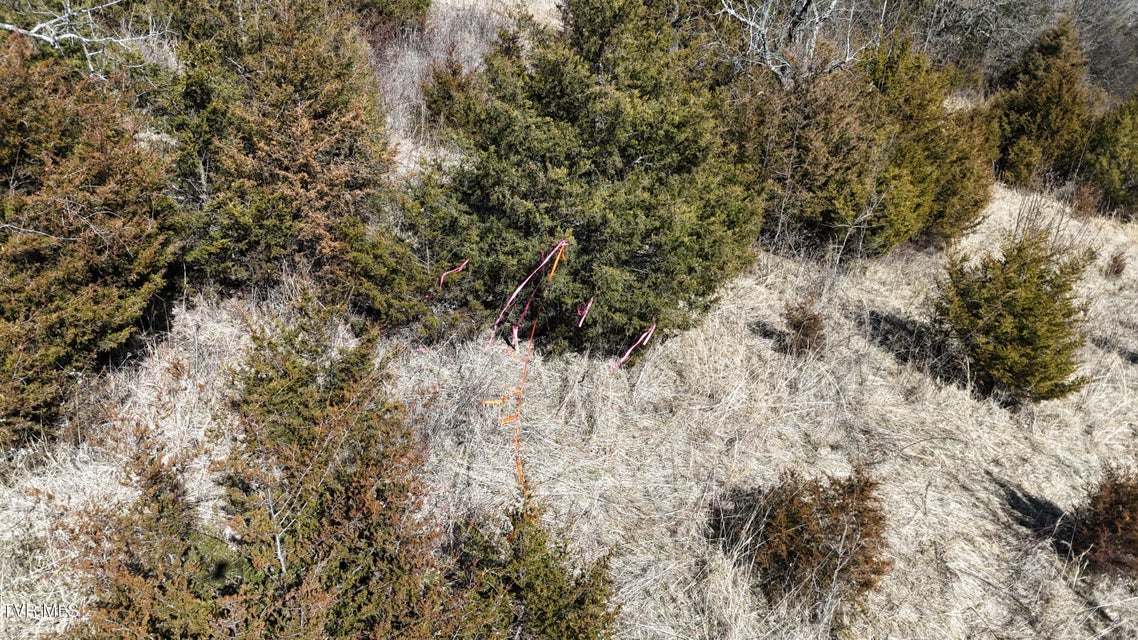 Photo #25: Tract 3 Methodist Ridge Road 