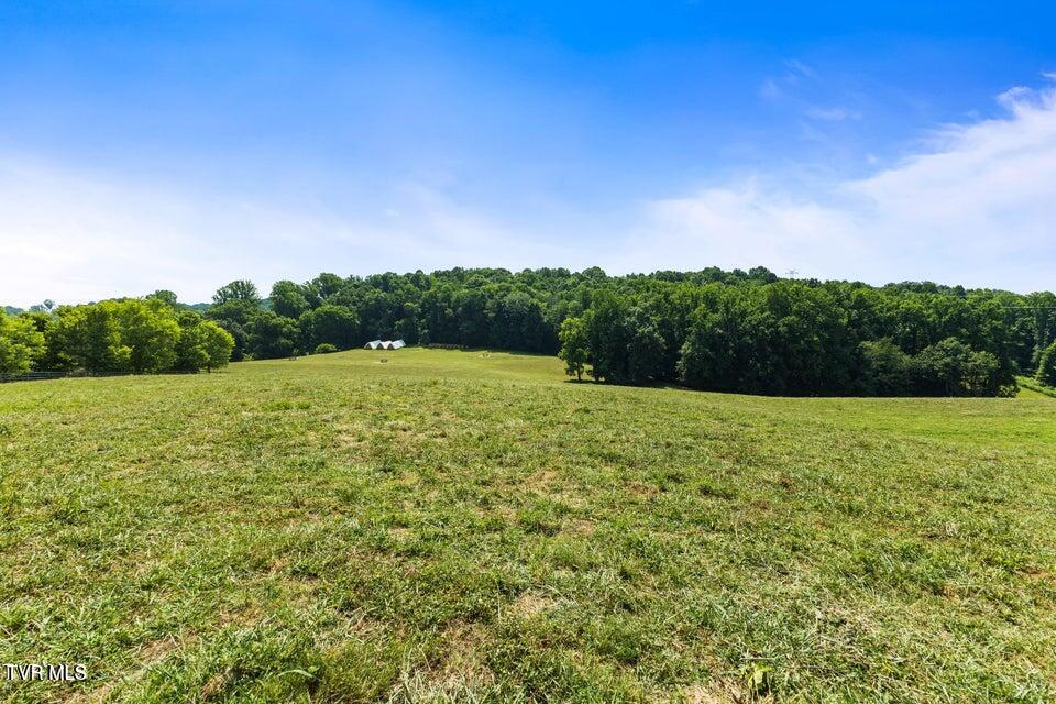 Photo #12: Tbd Old Boones Creek Road