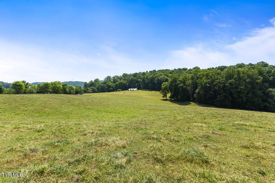 Photo #14: Tbd Old Boones Creek Road
