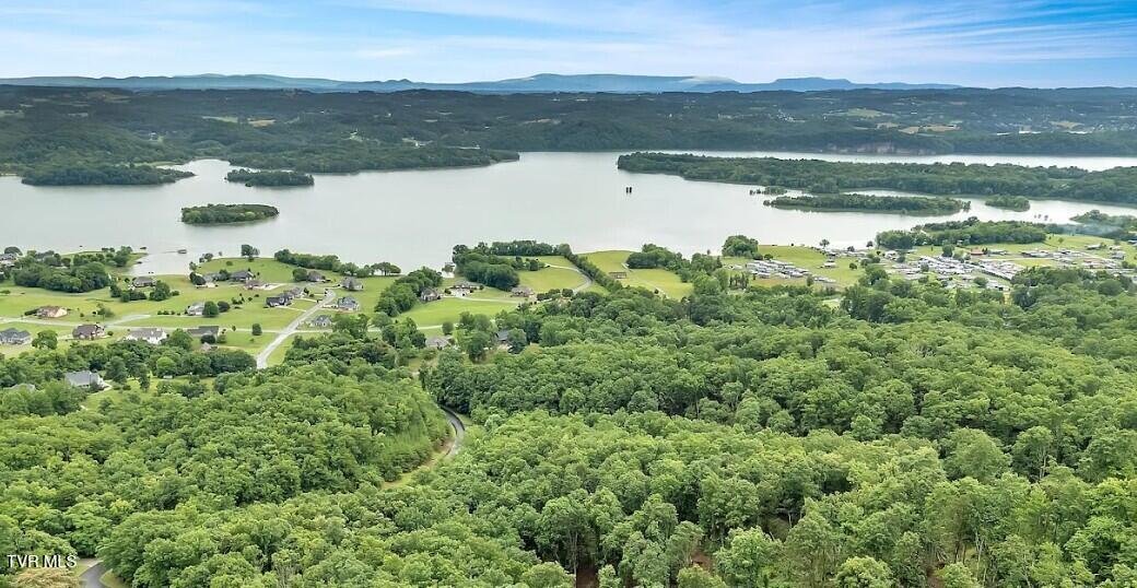 Photo #41: 7/Ac Pinnacle Point