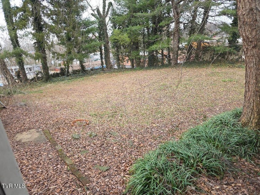 Photo #23: 605 Haynes Street