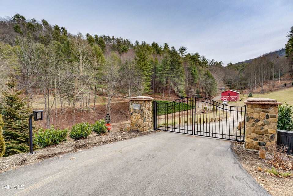 Photo #14: 710 Black Mountain Drive