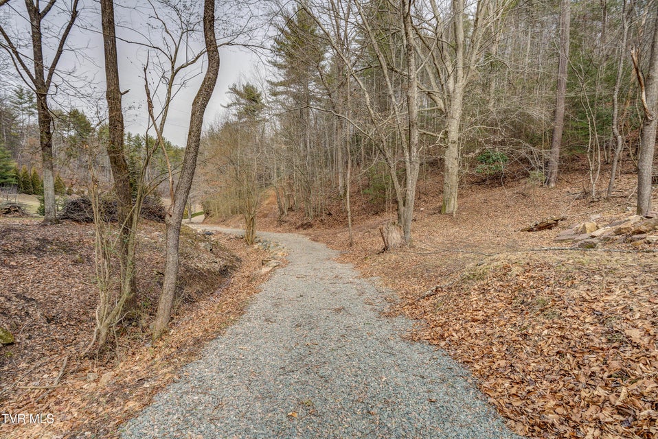 Photo #7: 710 Black Mountain Drive