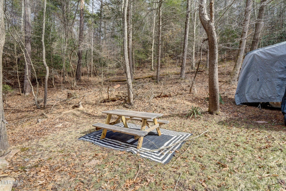 Photo #15: 710 Black Mountain Drive