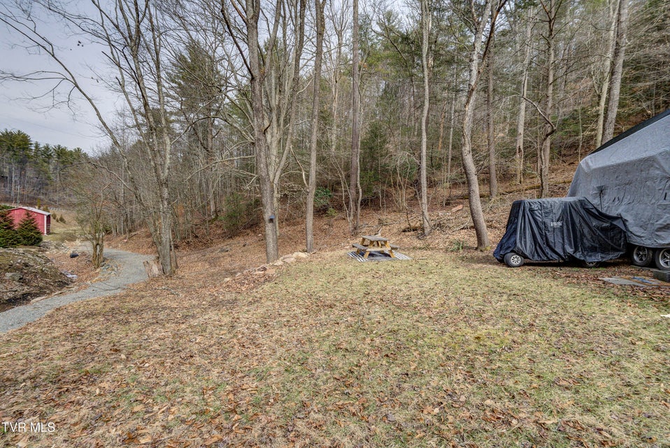 Photo #16: 710 Black Mountain Drive