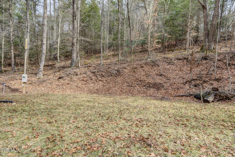 Photo #18: 710 Black Mountain Drive