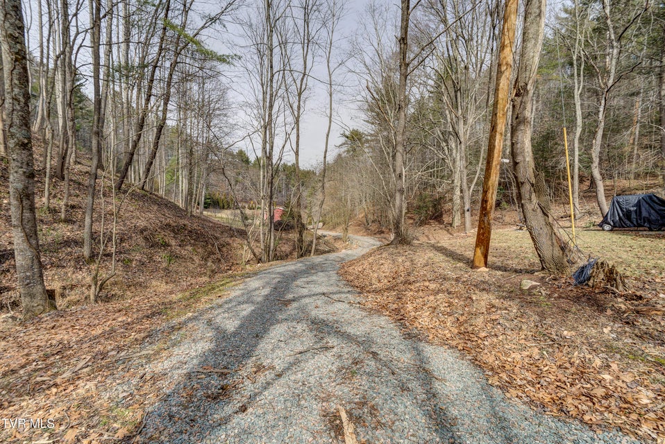 Photo #21: 710 Black Mountain Drive