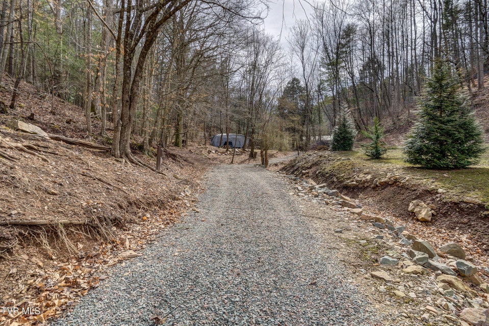 Photo #23: 710 Black Mountain Drive