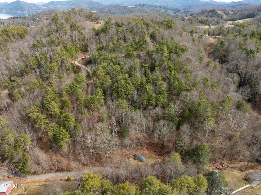 Photo #8: 710 Black Mountain Drive