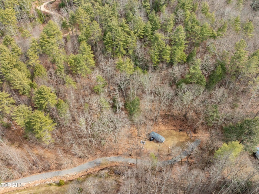 Photo #28: 710 Black Mountain Drive