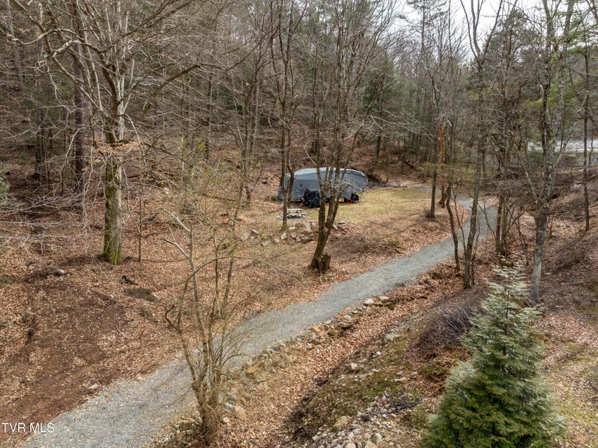 Photo #29: 710 Black Mountain Drive