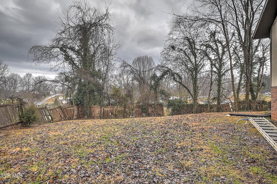 Photo #49: 151 Milligan Street