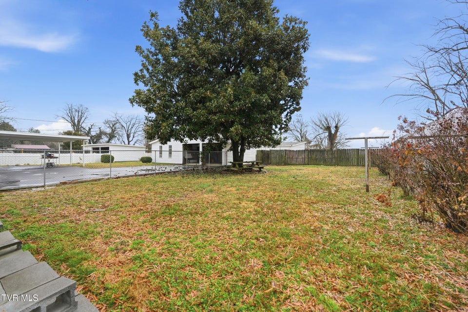 Photo #35: 1017 Catawba Street