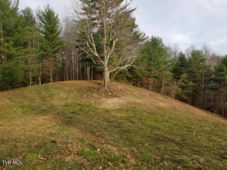 Photo #5: Tbd Bear Branch Road